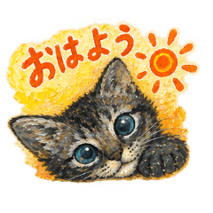 koto mamee_20260828111655