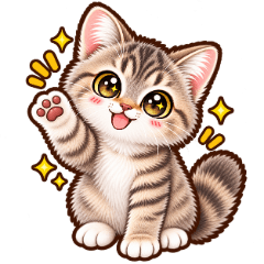 Marumaru Fluffy British Shorthair