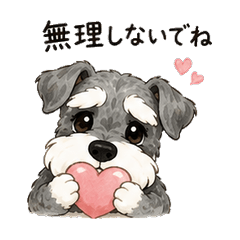 Schnauzer Caring & Kind Words