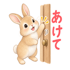 Hana-chan Fluffy Bunny