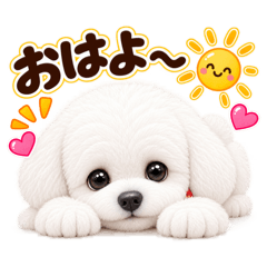 Nagareboshi0828_20260828115709