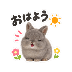 usagi-life_20260828150906