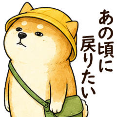 No-Energy Shiba Inu9