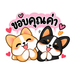 JJ Corgis - Thanks