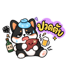 JJ Corgis - My Pain