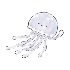 水母小藍