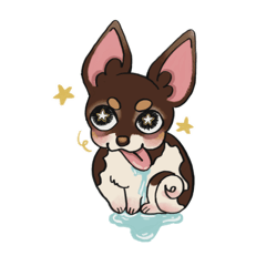 BupBe the cow Chihuahua