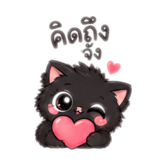 Cat catty cat