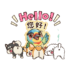 五色鳥的日常