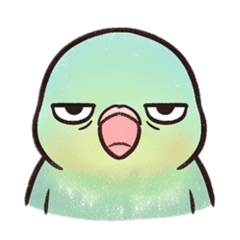 forpus parrot V.2