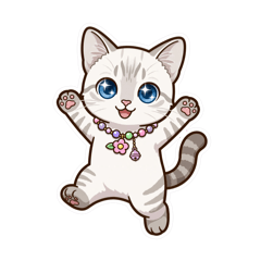 Pla two cat.