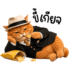 Orange cat Mafia <3
