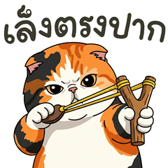 Orange Tricolored Cat