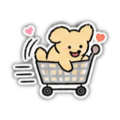 I love Goldennn