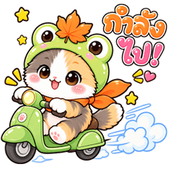 Maple Froggy Cat