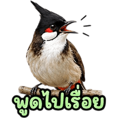 Adorable Red-whiskered bulbul V.5
