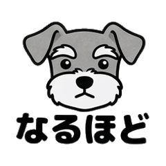 Tiny Schnauzer Quick Replies