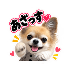 TSUYOSHI_20260828151519