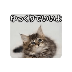 Fumi_20260828151826