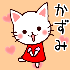 Kazumi cat name sticker