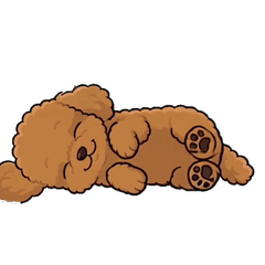 Animated Fluffy Toy Poodle