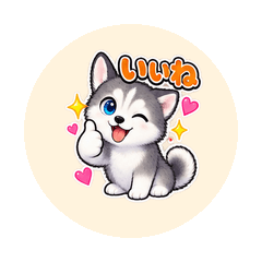 Soramaru Husky Reactions