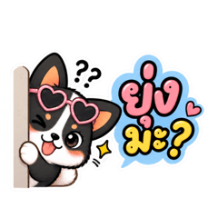 JJ Corgis - Cute eyes