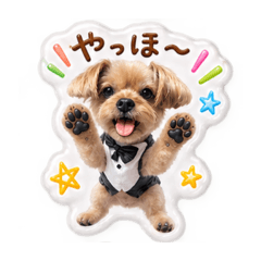 Cookiehouse_20260828