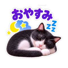 2525smile_20260828204219