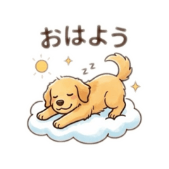 MOEKO_20260828210010