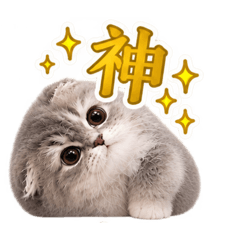 monoyuki_20260828205701