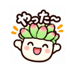 otomegokoro