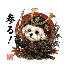 Fumiya_20260828210305