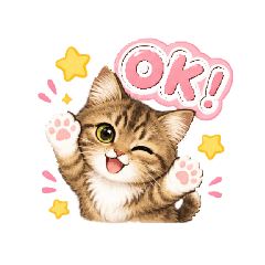 mimi_20260828224044