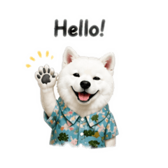 flower_20260827145247