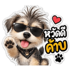 Naughty Dog A