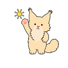 Maine Coon Boy