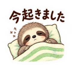 Awkward Sloth Replies