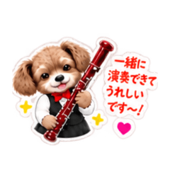 rarechoco_20260829110318