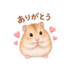 Potehamu_20260829110851
