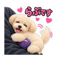 IKKI_20260829090527