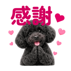 yoshikorin_20260829111001