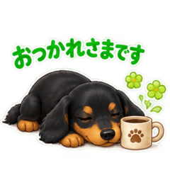 CHOCOTA_20260829111102