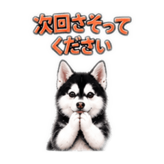 reusu_20260829134953