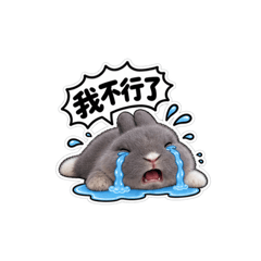 八嘟的日常 一般日常篇