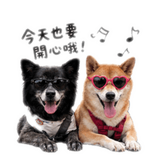 小乖咪咪的狗日子
