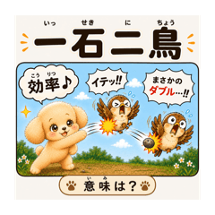 mocofuwa_20260827133208