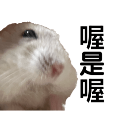 鼠餅的小舖
