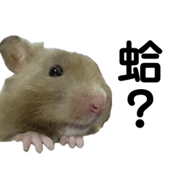鬆餅的問候？