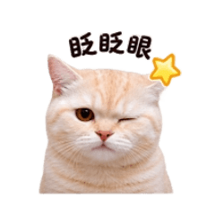 小球兒的表情貼1